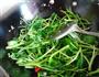 腐乳空心菜的做法图解3