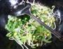 青菜炒黄豆芽的做法图解4