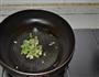 香菇青菜的做法图解10
