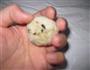 迷你小饭团的做法图解5