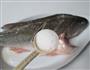 木耳蒸鲈鱼的做法图解2
