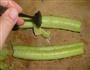 黄瓜沙拉卷的做法图解4
