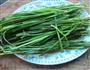 拌韭菜的做法图解1