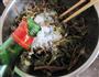 蒜拌马齿苋的做法图解10