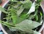 空心菜叶鸡蛋汤的做法图解1