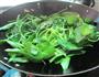 蒜米空心菜的做法图解6