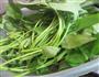 尖椒空心菜的做法图解3