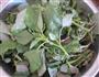 蒜拌野苋菜的做法步骤1