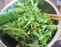蒜拌苦苣的做法图解8