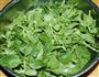 香麻汁拌穿心莲的做法图解1