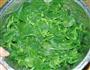 香麻汁拌穿心莲的做法图解2