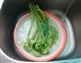南瓜苗汤的做法图解3