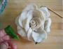 白玫瑰蘑菇的做法图解9