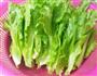 白焯生菜的做法图解1