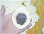 苏式豆沙月饼的做法图解9
