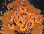 豆酥大虾的做法图解6