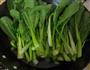 盐水菜心的做法图解5