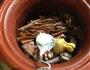 茶树菇炖鸽子的做法图解9