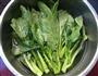 白灼菜心的做法图解2