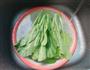 白灼菜心的做法图解2