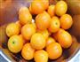 蜜汁小金桔的做法图解1