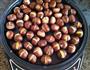 烤栗子的做法图解5