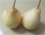 川贝炖雪梨的做法图解1