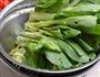 蚝油鸡毛菜的做法图解1