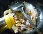 鲜虾牛蛙的做法图解6