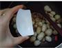 下饭芋仔的做法图解8