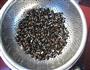 自己发黑豆豆芽的做法图解5