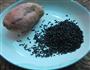 地瓜黑米糊的做法图解1