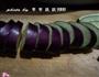 麻婆茄子的做法图解1