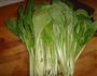 肥油小白菜的做法图解1