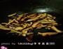 素炒三丝的做法图解4