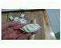 饺子的做法图解14