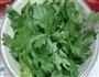 凉拌芹叶的做法图解2