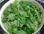 凉拌芹叶的做法图解3