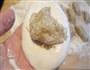 核桃汤圆的做法图解17