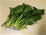 上汤菠菜的做法图解1