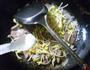 猪肝炒黄豆芽的做法图解13