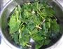 葱花菠菜面的做法图解2
