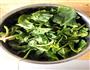 素炒菠菜的做法图解1