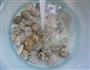 泡椒花蛤的做法图解3