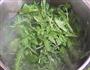 荠菜蒸饺的做法图解5