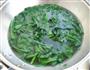 芝麻菠菜的做法图解4