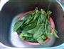 油泼菠菜的做法图解1