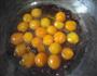 糖渍金桔的做法图解7