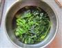 麻汁拌菠菜的做法图解2