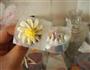 奶油霜小雏菊的做法图解6